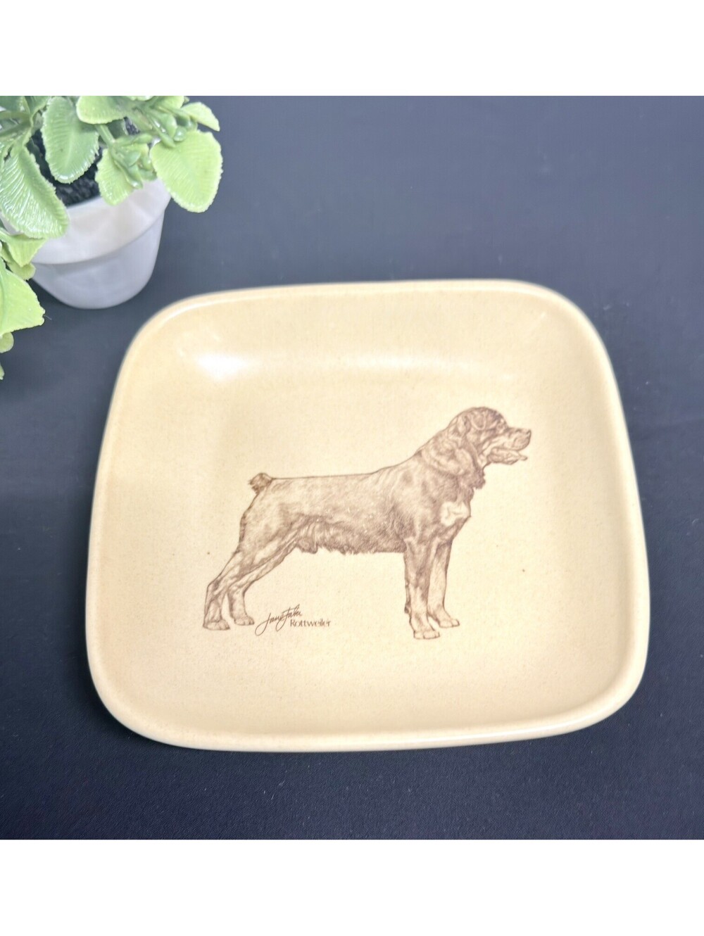Vintage Crescendo Memento Rottweiler trinket dish. Honiton England